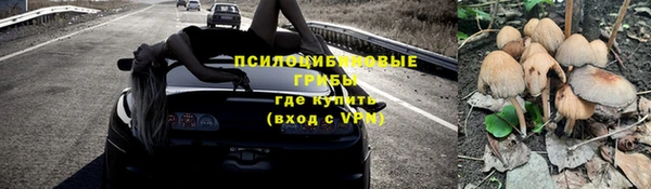MDMA Заводоуковск